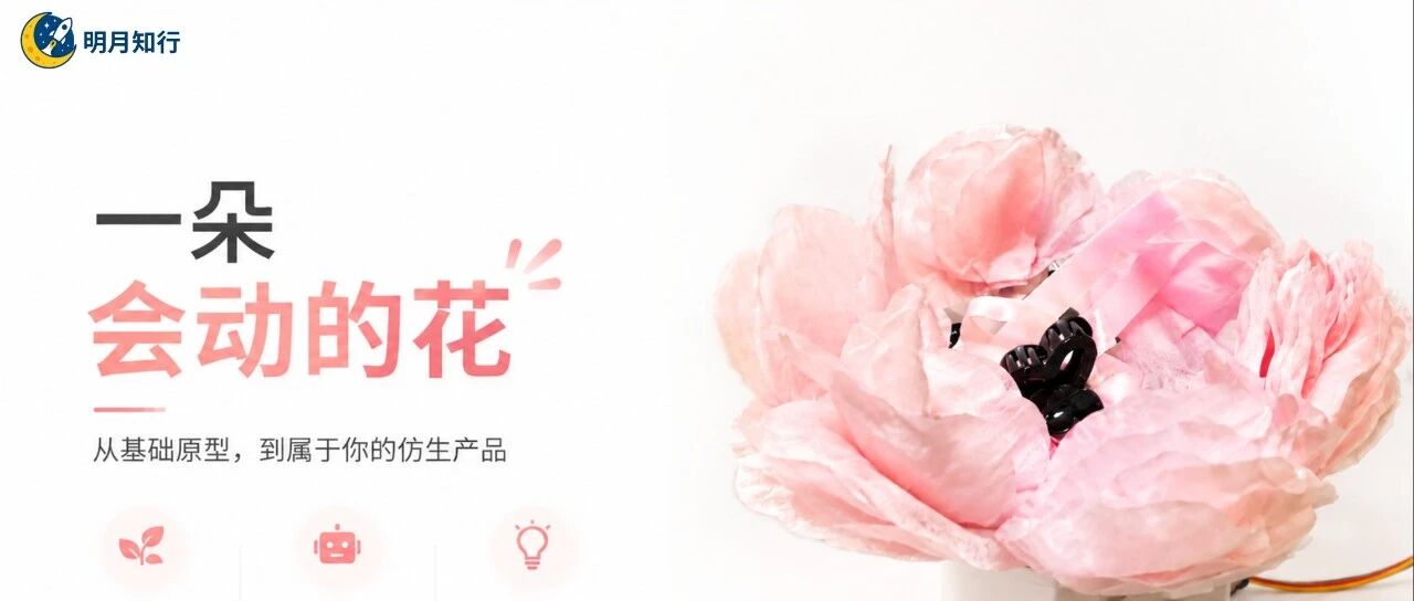 「明月行」六一｜在重大科创公益活动中做一朵“花”